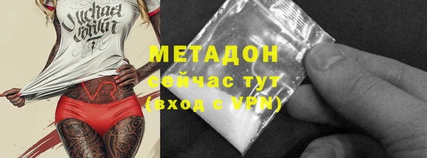 гидра Надым