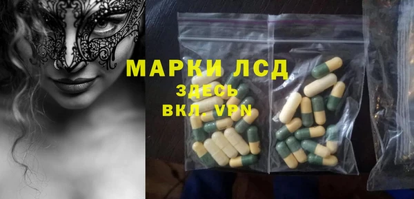 гидра Надым
