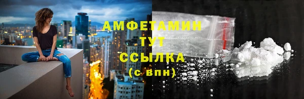 гидра Надым