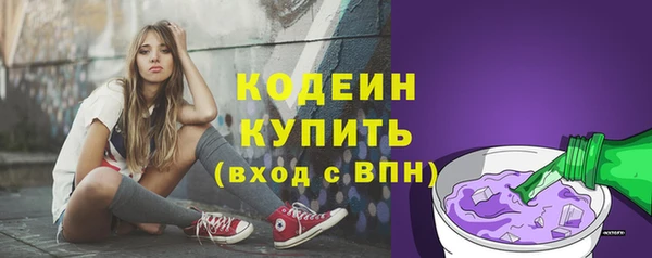 гидра Надым