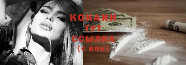 гидра Надым
