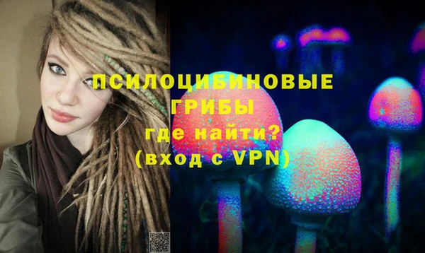 гидра Надым