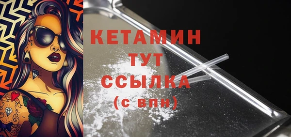 гидра Надым