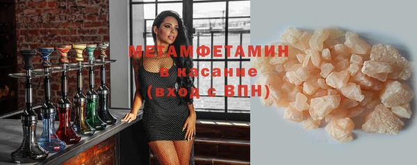 гидра Надым